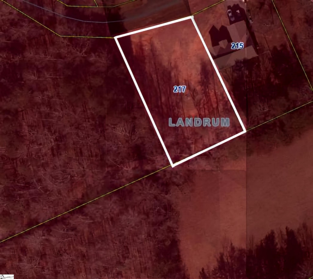 217 S Johnson St, Landrum, SC 29356