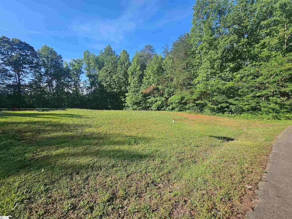 217 S Johnson St, Landrum, SC 29356