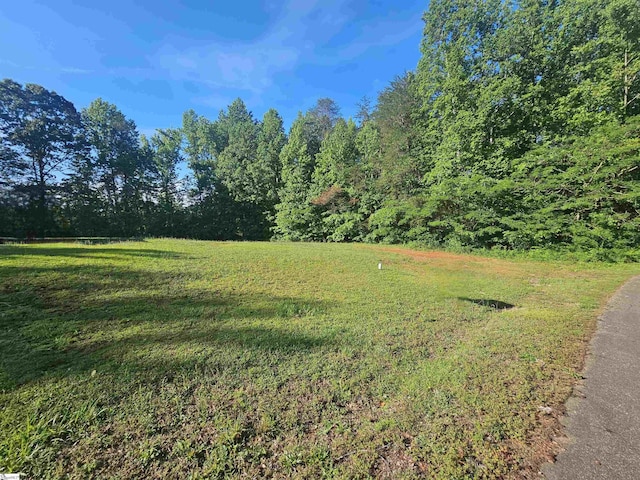 217 S Johnson St, Landrum, SC 29356