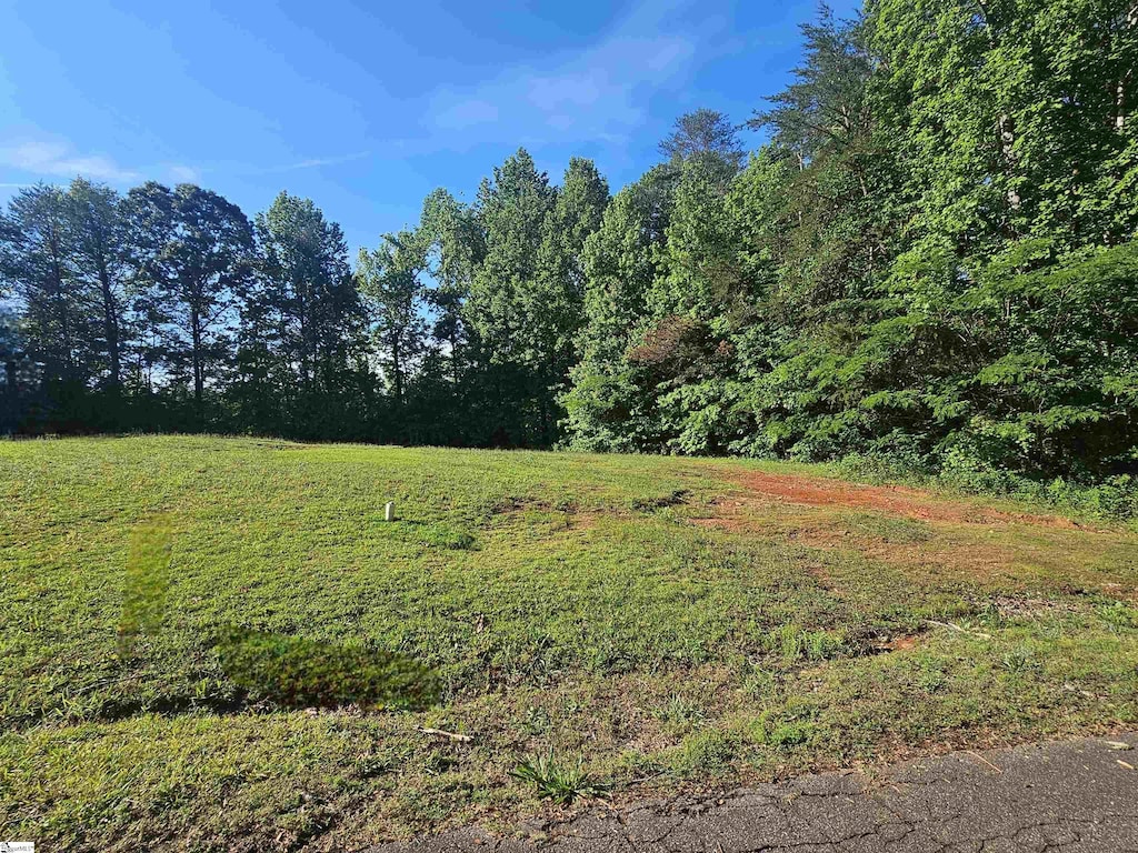 217 S Johnson St, Landrum, SC 29356