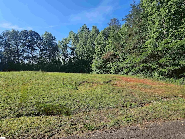 217 S Johnson St, Landrum, SC 29356