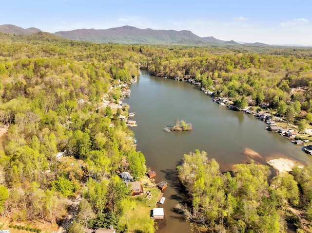 1506 W Lakeshore Dr, Landrum, SC 29356 - bird's eye view with a water and mountain view and a forest view