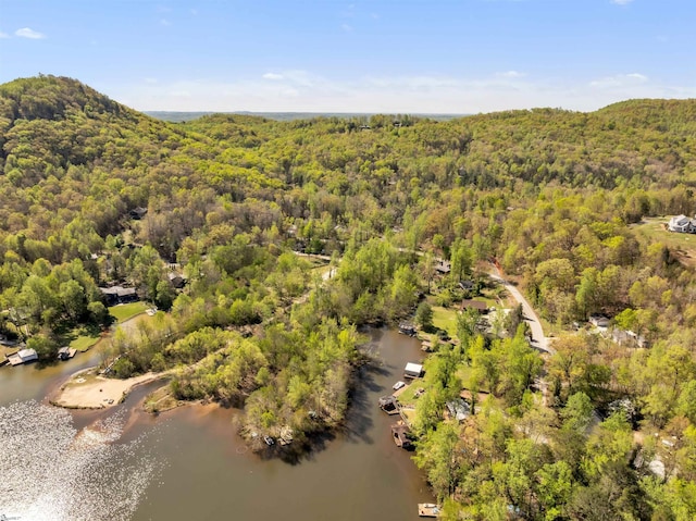 1506 W Lakeshore Dr, Landrum, SC 29356 - birds eye view of property featuring a forest view and a water view