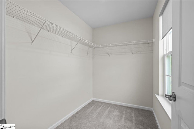 633 Morning Meadows Dr, Inman, SC 29349 - spacious closet with carpet flooring