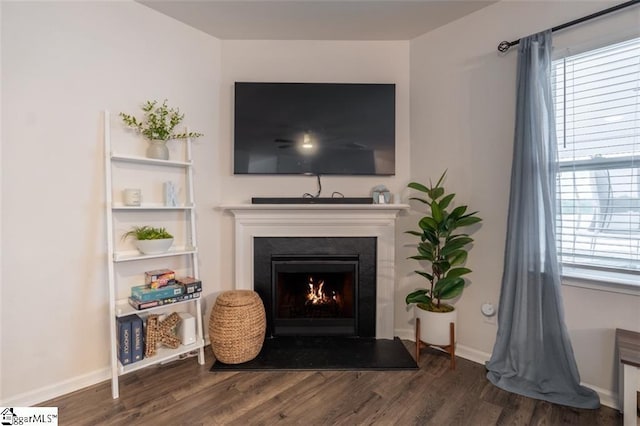 136 Light Spring Rd, Easley, SC 29642 - interior space with a fireplace with flush hearth, wood finished floors, and baseboards