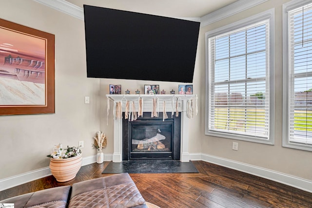 living room featuring a fireplace, baseboards, and ornamental molding
