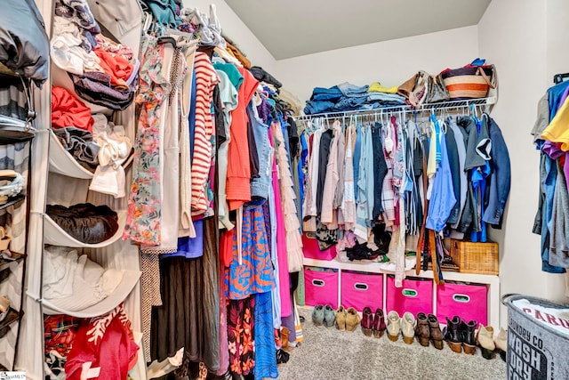 view of walk in closet