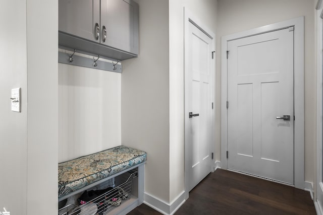 mudroom featuring baseboards and dark wood-style floors