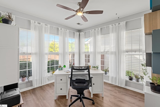 office space featuring light wood-style flooring, visible vents, and a ceiling fan