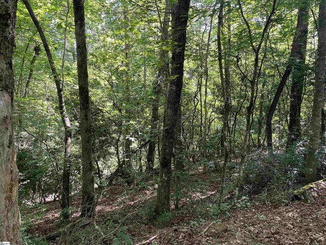 00 Whitewater Point Rd, Tamassee, SC 29686