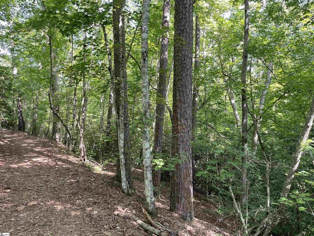 00 Whitewater Point Rd, Tamassee, SC 29686