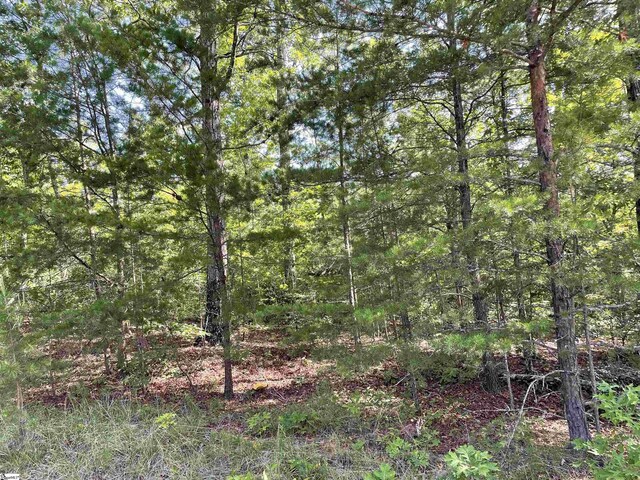 00 Whitewater Point Rd, Tamassee, SC 29686