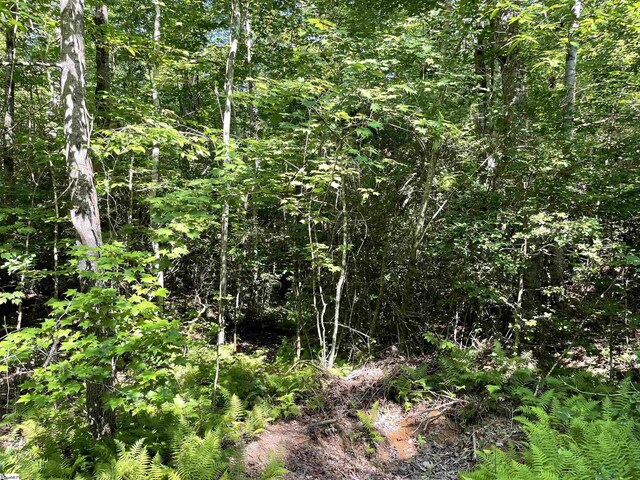 00 Whitewater Point Rd, Tamassee, SC 29686