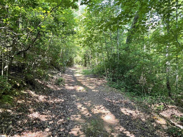 00 Whitewater Point Rd, Tamassee, SC 29686