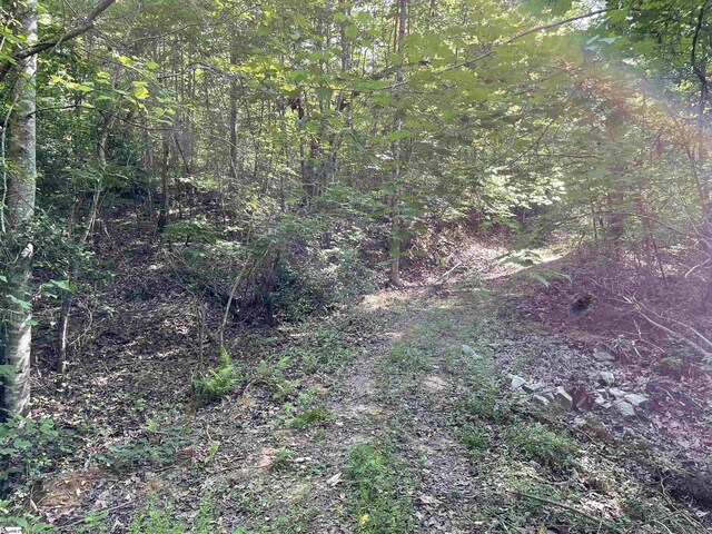 00 Whitewater Point Rd, Tamassee, SC 29686