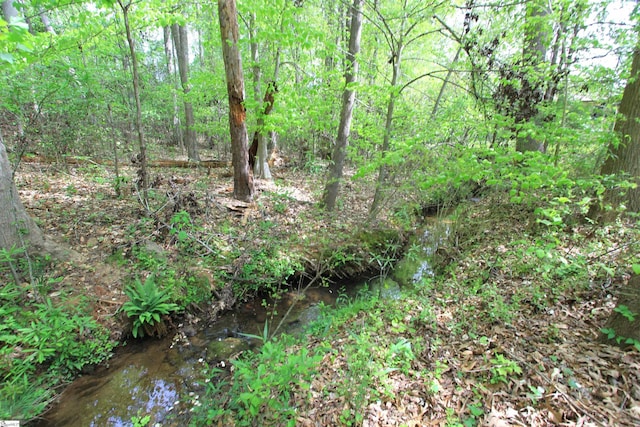 108 Dill Dr, Piedmont, SC 29673 - view of local wilderness