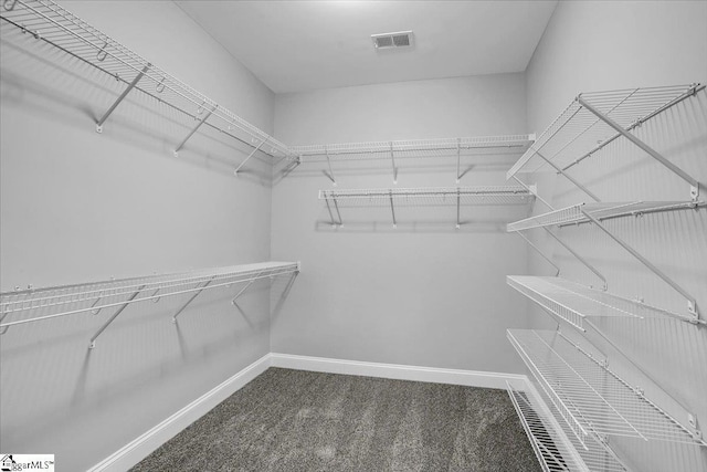 spacious closet with carpet floors and visible vents