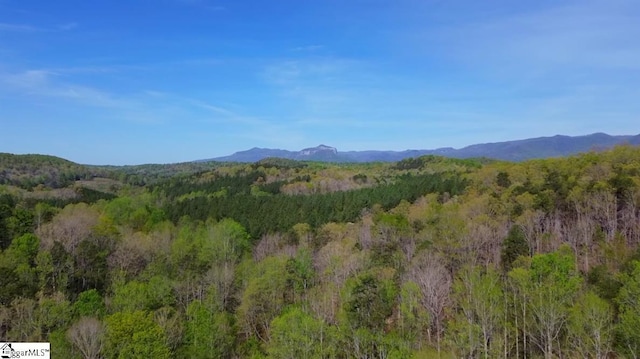 view of mountain feature featuring a forest view