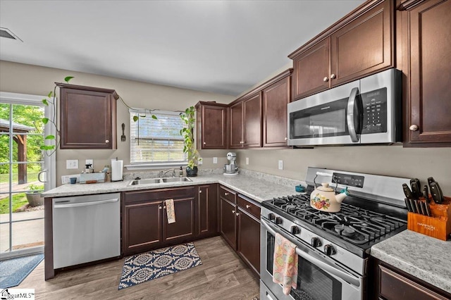 224 Hillendale Way, Pelzer, SC 29669 - kitchen featuring plenty of natural light, light wood finished floors, stainless steel appliances, and a sink