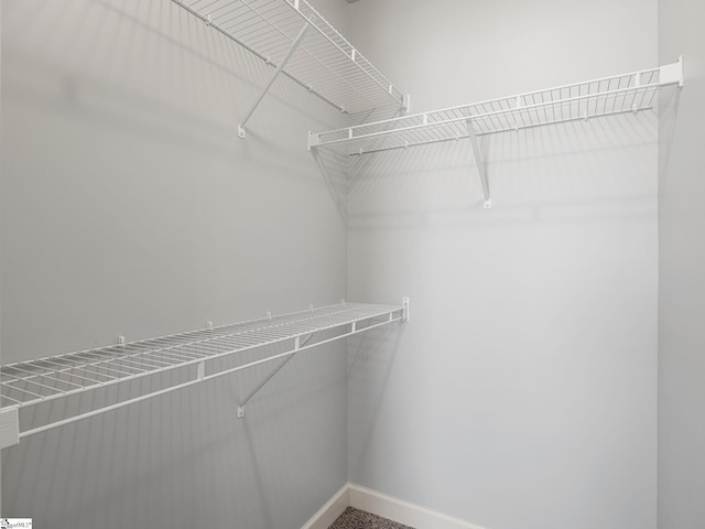 view of walk in closet