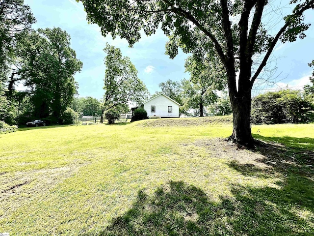 17920 Asheveille Hwy, Campobello, SC 29322 - view of yard