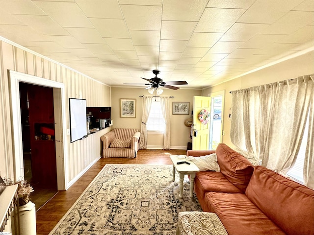 17920 Asheveille Hwy, Campobello, SC 29322 - living room featuring baseboards, ornamental molding, ceiling fan, and dark wood-type flooring