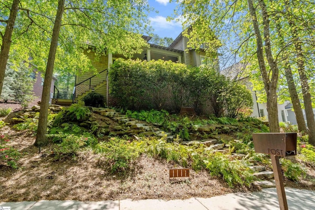 view of yard