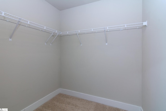 walk in closet with light colored carpet