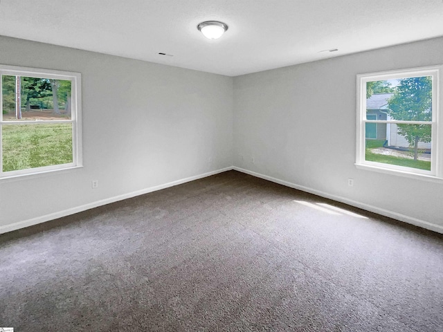 spare room with plenty of natural light, baseboards, and carpet flooring