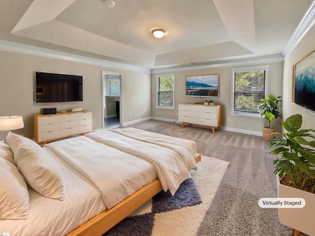 carpeted bedroom featuring baseboards and a raised ceiling