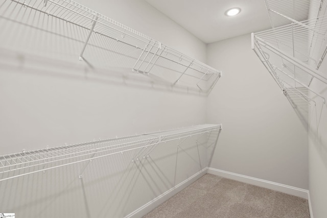 walk in closet with light carpet