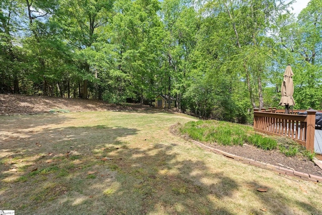 361 E Killarney Lk, Moore, SC 29369 - view of yard