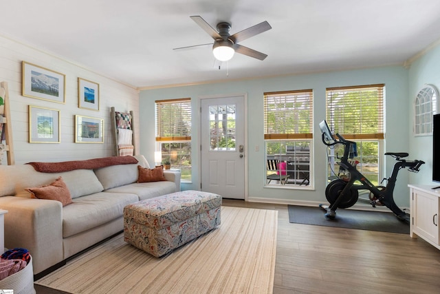 living room with baseboards, a ceiling fan, wood finished floors, and ornamental molding