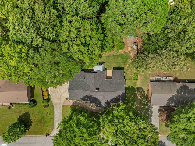 drone / aerial view