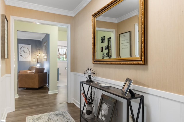 corridor with a wainscoted wall, wood finished floors, and ornamental molding