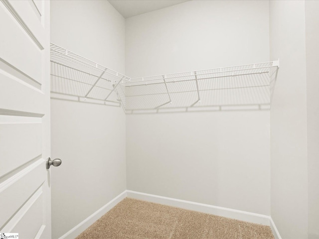 225 Maxwell Dr, Easley, SC 29642 - spacious closet featuring light carpet