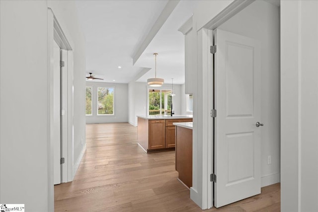 204 Tot Howell Rd, Greer, SC 29651 - hall featuring light wood-style flooring, baseboards, and recessed lighting