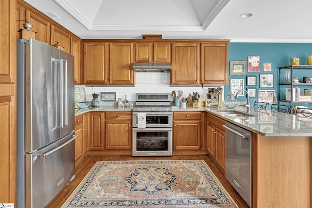 kitchen featuring under cabinet range hood, wood finished floors, a sink, a peninsula, and appliances with stainless steel finishes