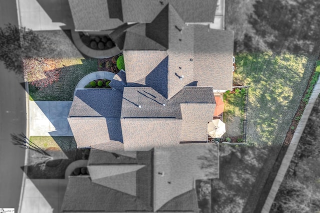 bird's eye view