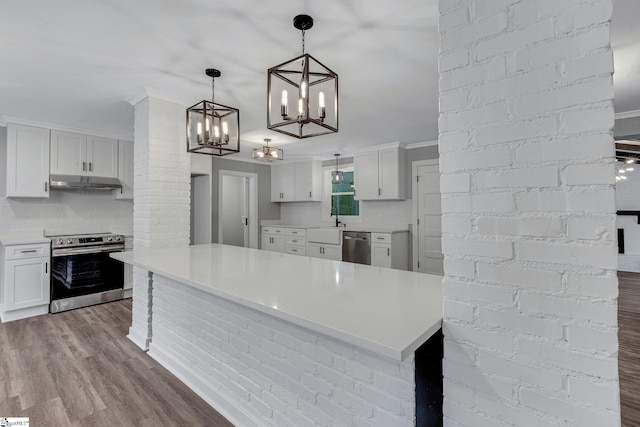 181 Skyland Dr, Clinton, SC 29325 - kitchen featuring a sink, a chandelier, stainless steel appliances, dark wood finished floors, and under cabinet range hood