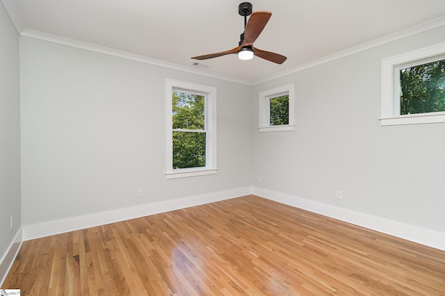 827 S Academy St, Greenville, SC 29601 - spare room featuring light wood-type flooring, baseboards, and crown molding