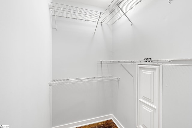 view of walk in closet