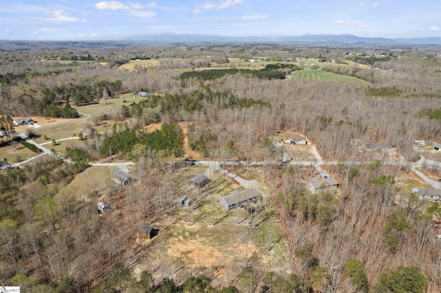 birds eye view of property featuring a mountain view