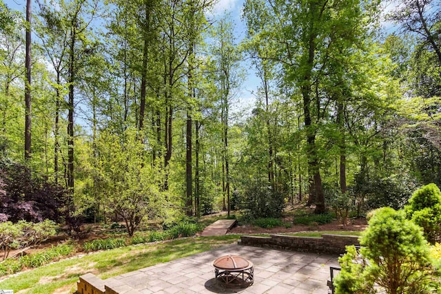 view of patio / terrace with an outdoor fire pit