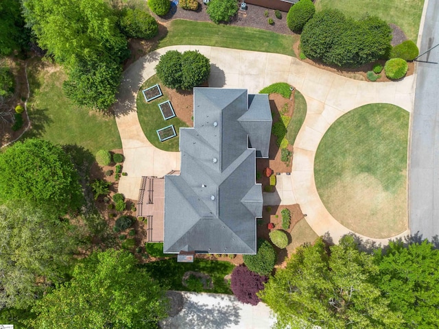 aerial view