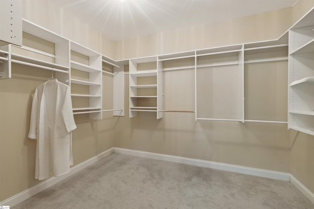 spacious closet with carpet floors