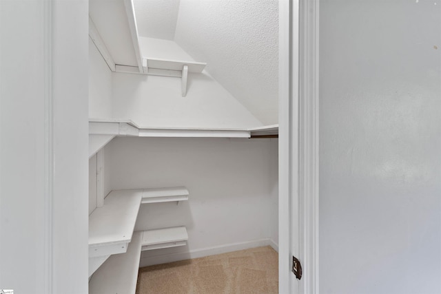 walk in closet featuring carpet floors