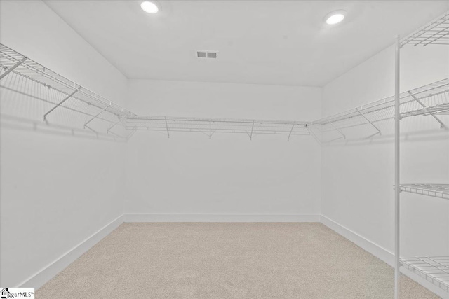 407 Briggs Dr, Easley, SC 29642 - walk in closet with light colored carpet