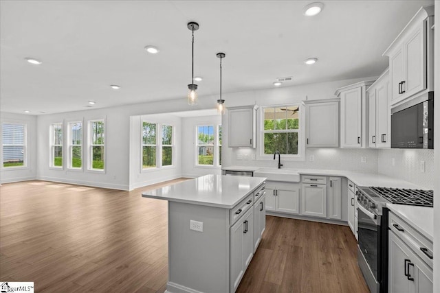 407 Briggs Dr, Easley, SC 29642 - kitchen with appliances with stainless steel finishes, a sink, plenty of natural light, dark wood finished floors, and recessed lighting