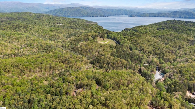 112 Jocassee Falls Rd, Salem, SC 29676 - drone / aerial view featuring a view of trees and a water and mountain view
